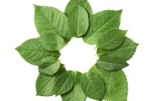 Stor webshop stopper med brug af egne miljømærke-ikoner