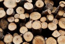 EUDR træder i kraft allerede ved årsskiftet for store virksomheder