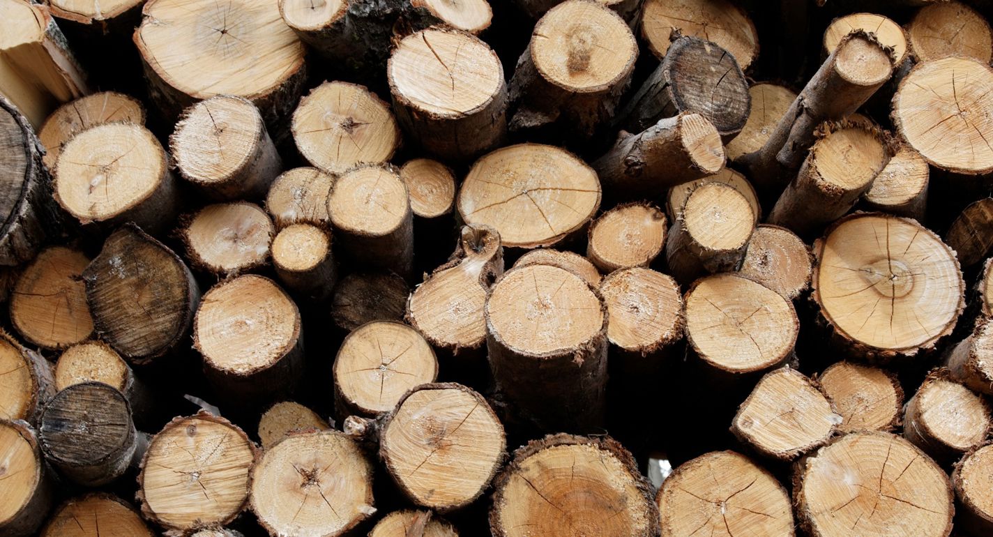 EU giver USA særstatus i EUDR