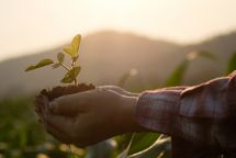 Bæredygtighed er ikke en tendens – det er en global megatrend