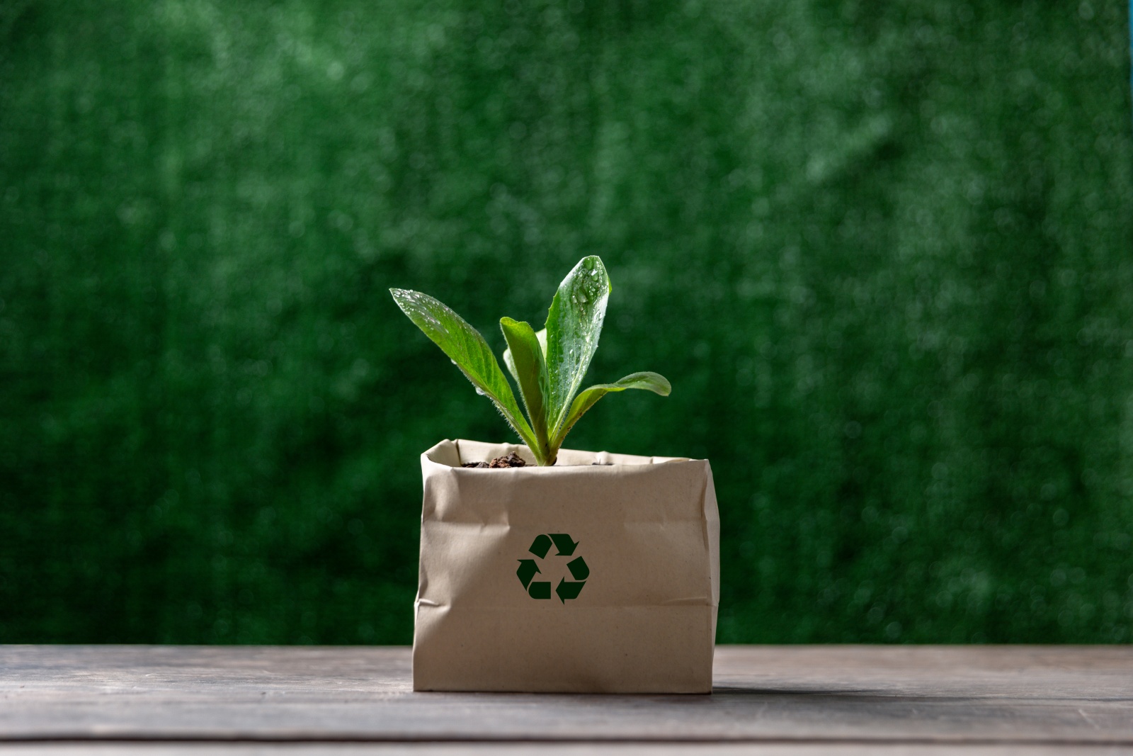 PPWR: GRAKOM udgiver guide til EU’s emballageforordning