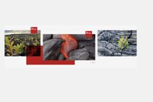 Greenwashing: Pas på med at bruge ord som naturlig