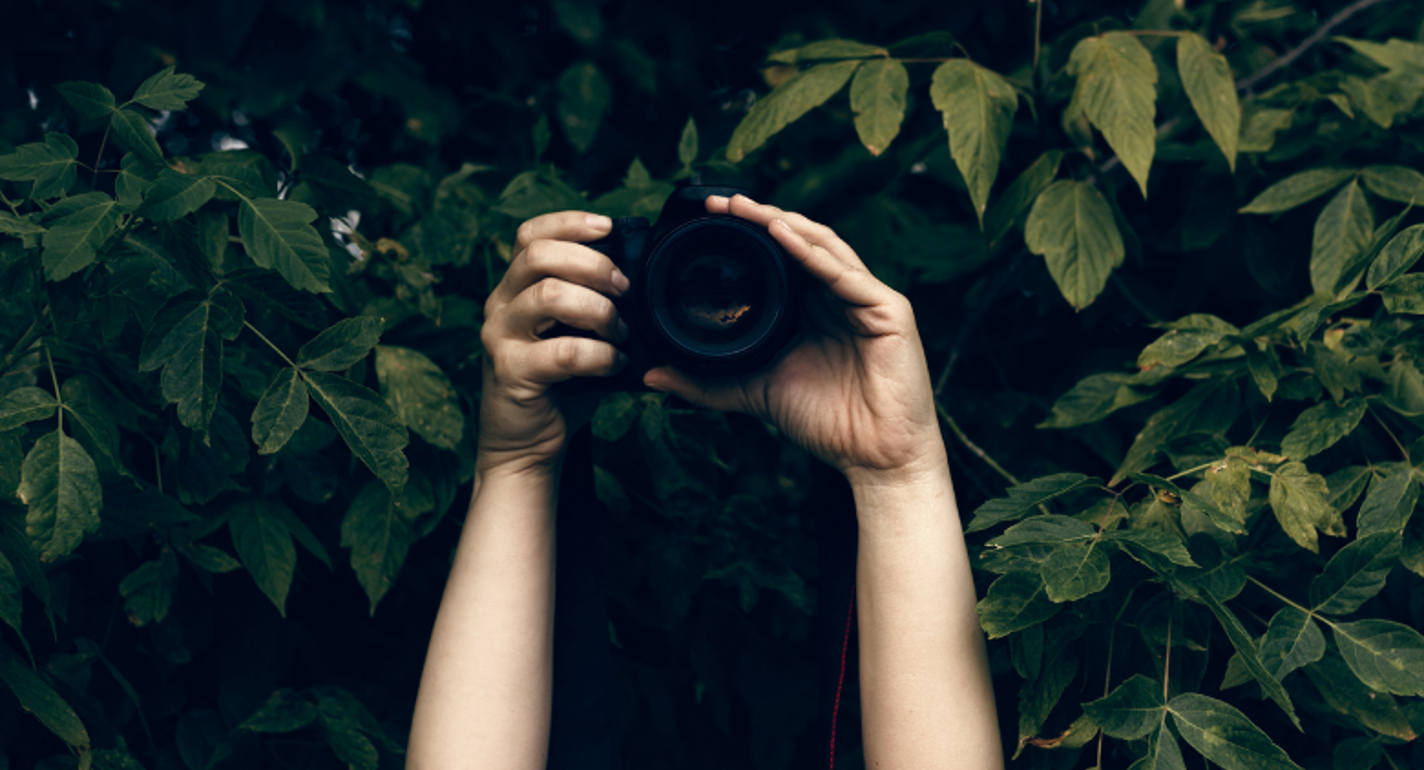 Miljøministeriet sætter gebyr-praksis ved naturfotografering i bero