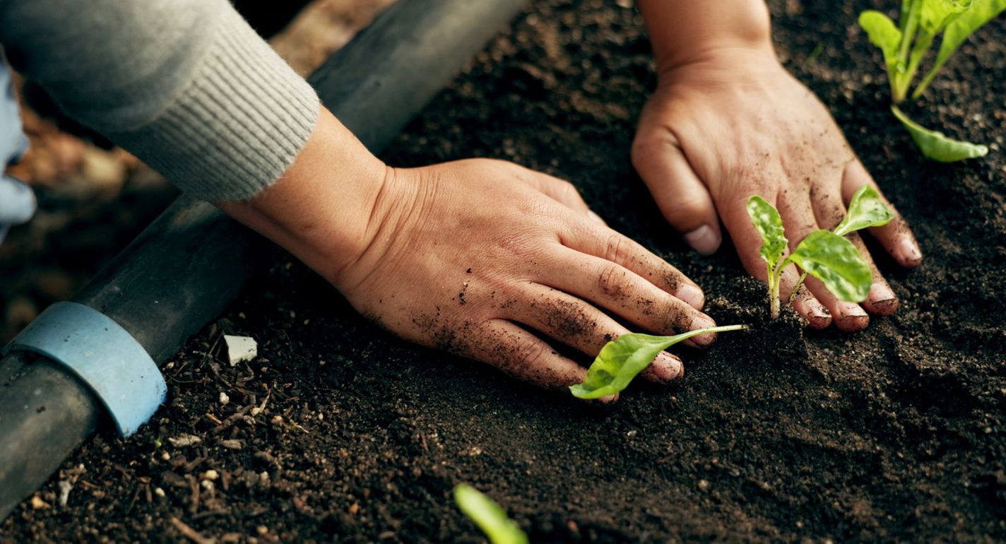 Nye EU-regler om virksomheders bæredygtighedsrapportering skal blive en reel konkurrencefordel