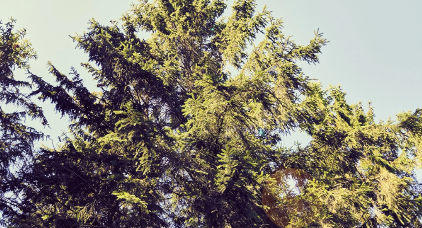 Papir flytter solenergi