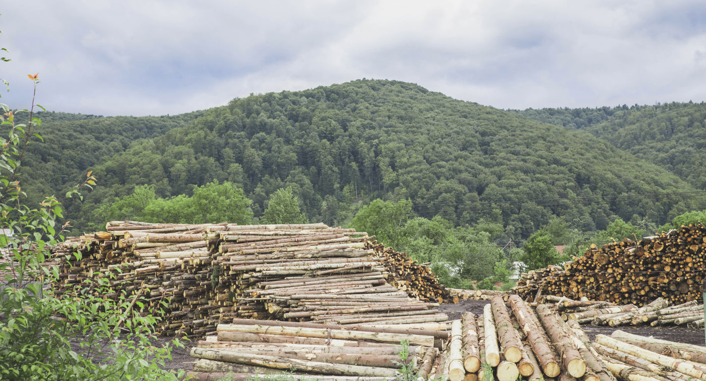 Få styr på EUDR – GRAKOMs vidensbank er opdateret med praktisk vejledning