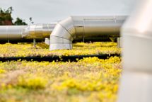 Johnsen får have på taget