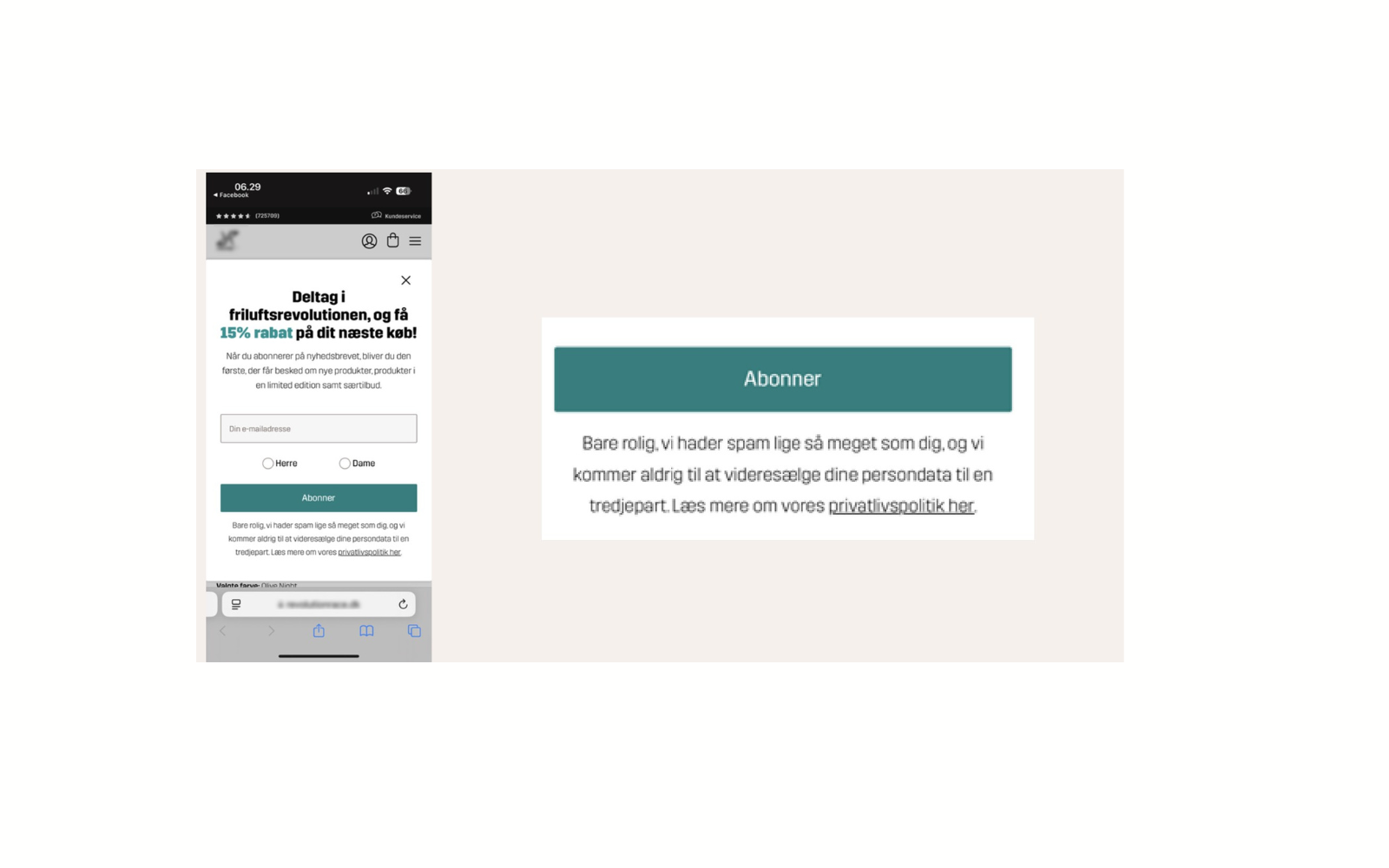 eksempel - deltag i frilufts - canva.png
