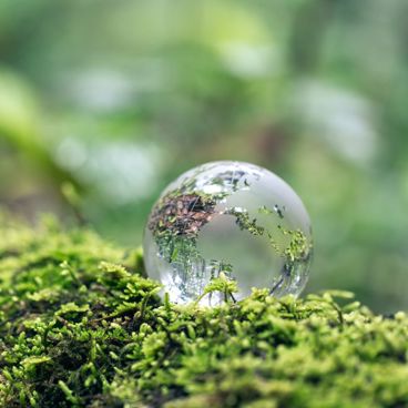 EmballageForum: Miljøgraduerede bidrag i praksis – sådan griber du det an