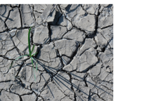 ClimateCalc i stærk fremgang – et fælles værktøj, der samler branchen