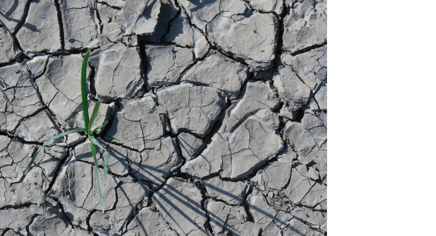 ClimateCalc i stærk fremgang – et fælles værktøj, der samler branchen