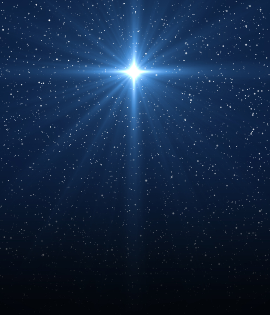 Bureauernes Shining Stars