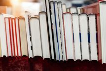 Venstre bakker op om forslag om at fjerne momsen på trykte bøger