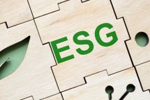 Tre nye puljer skal styrke små og mellemstore virksomheders grønne omstilling