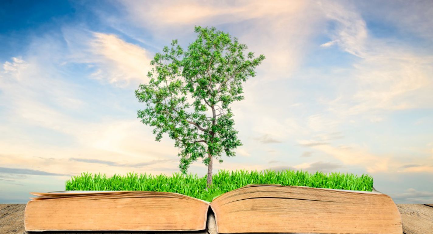 Bæredygtighed: GRAKOM får støtte fra Erhvervsstyrelsen til at løfte bureaubranchen 