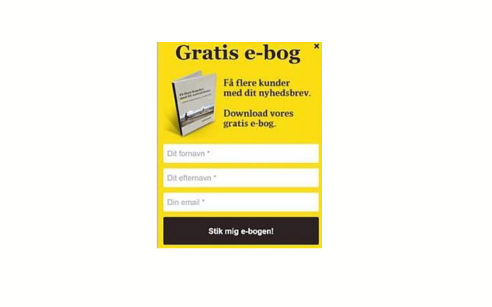 eksempel - gratis e-bog - canva.png
