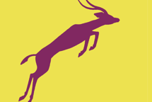 Flere GRAKOM-medlemmer blev kåret til Gazeller 2024