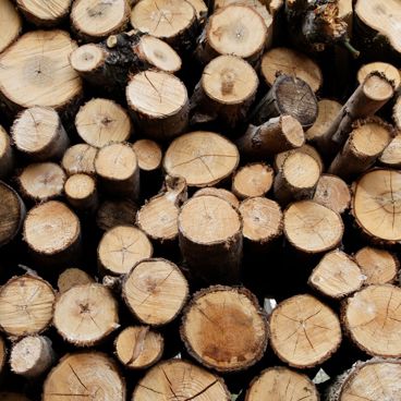 EU-skovrydningsforordning (EUDR) 