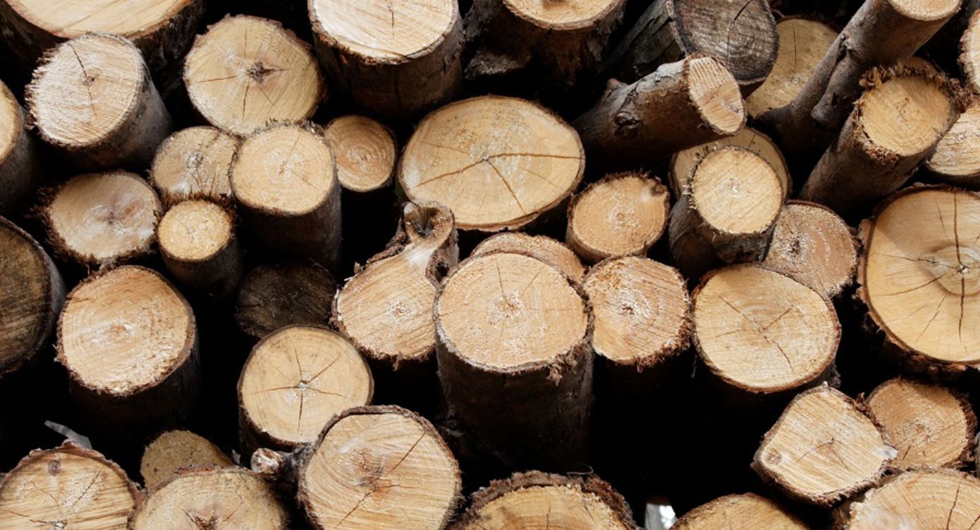 Webinar om ny EUDR-standard: EUDR-X