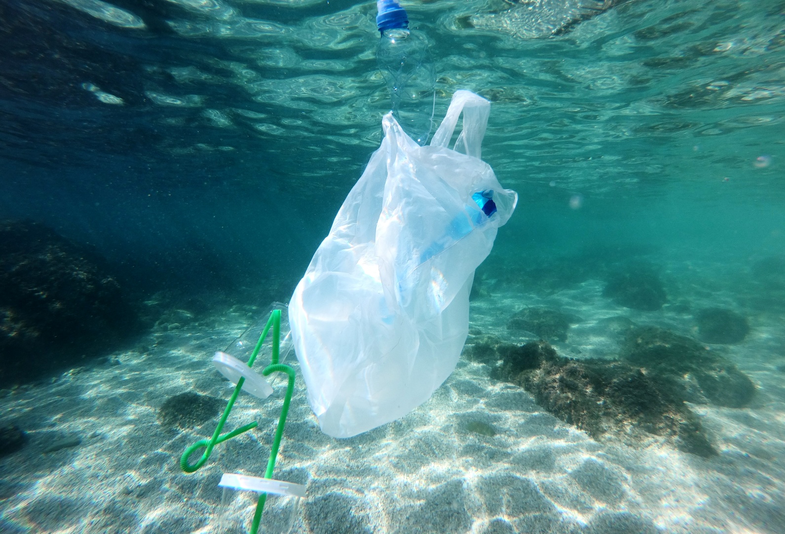 500.000 kr. i bøde for greenwashing
