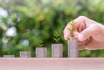 Søg støtte til projekter om miljømærker, klimaregnskab eller miljøledelse