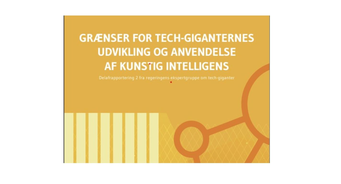 Ekspertgruppe ude med anbefalinger til brug af kunstig intelligens