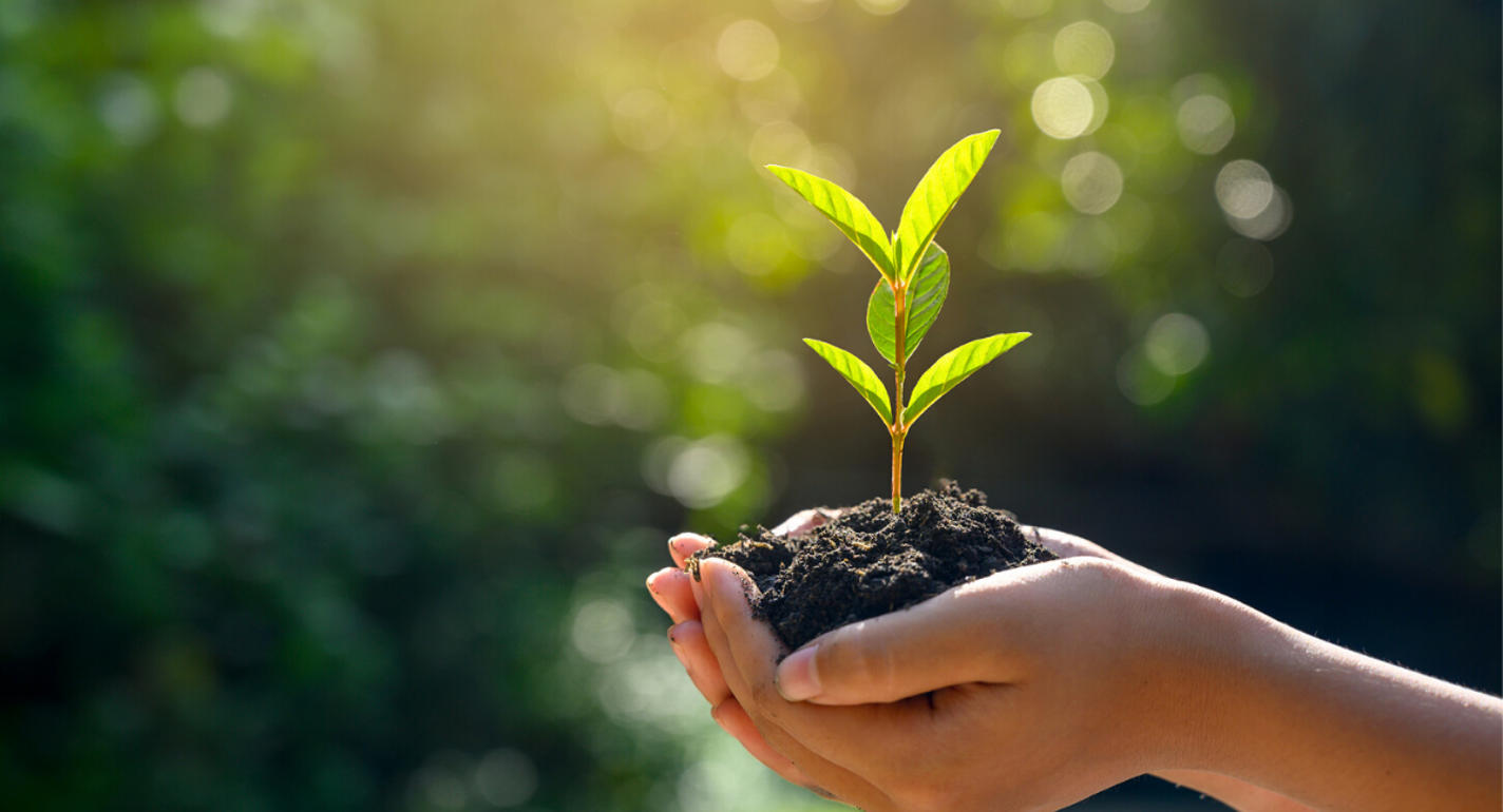 GRAKOM tilslutter sig Two Sides