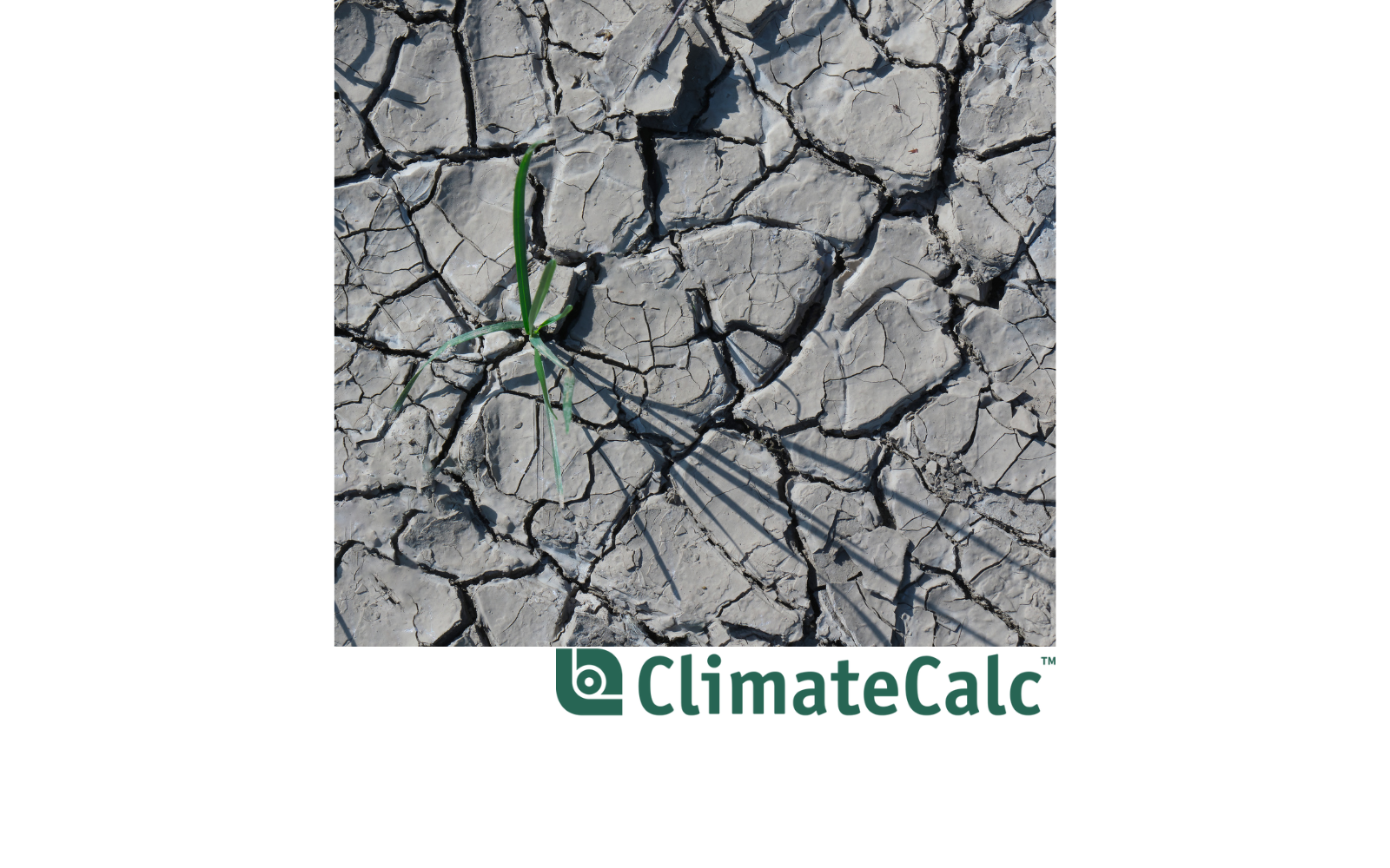 ClimateCalc lancerer API, der automatiserer CO2-beregninger i ordre- og tilbudsprocesser