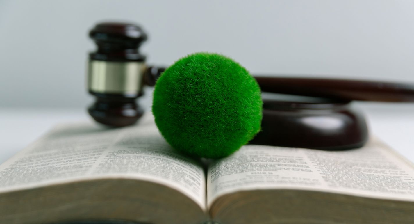 Her er status på EU’s bæredygtighedslovgivning  