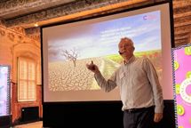 Den danske bureaubranche er blevet et lavvækstområde