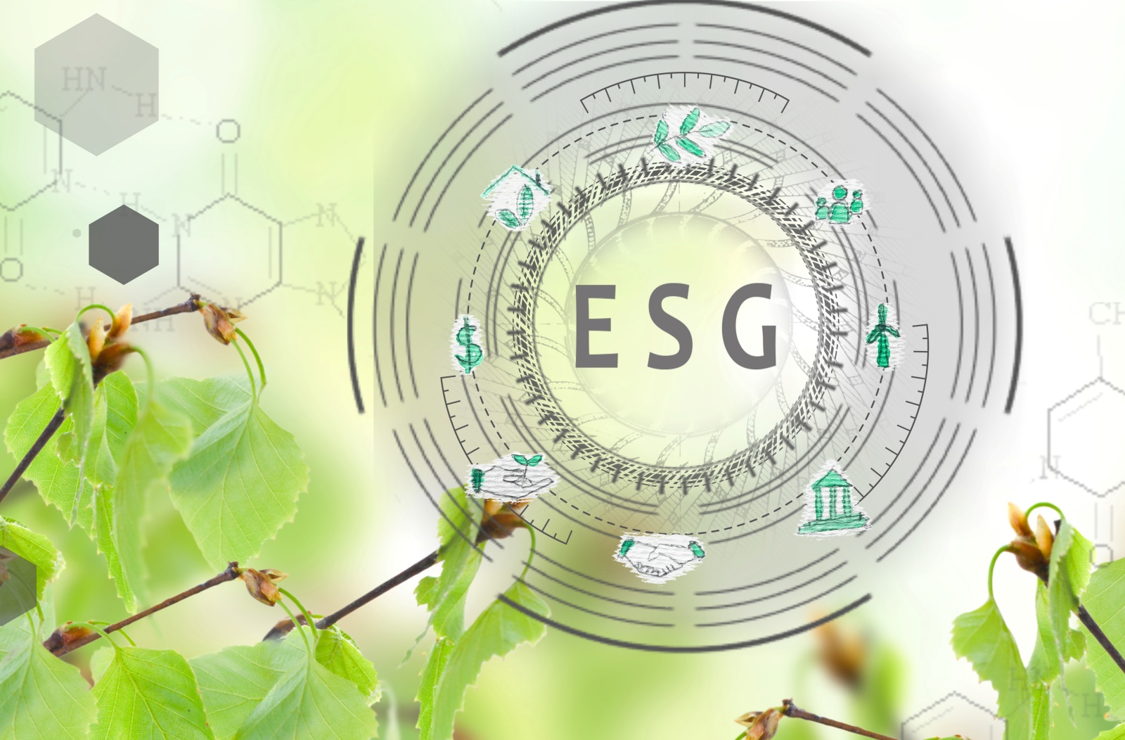 Nyt ESG-netværk skal give plads til videndeling blandt GRAKOMs medlemmer